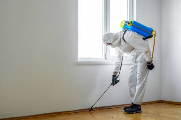 Best Mosquito Control Services  in Huntsville, TX